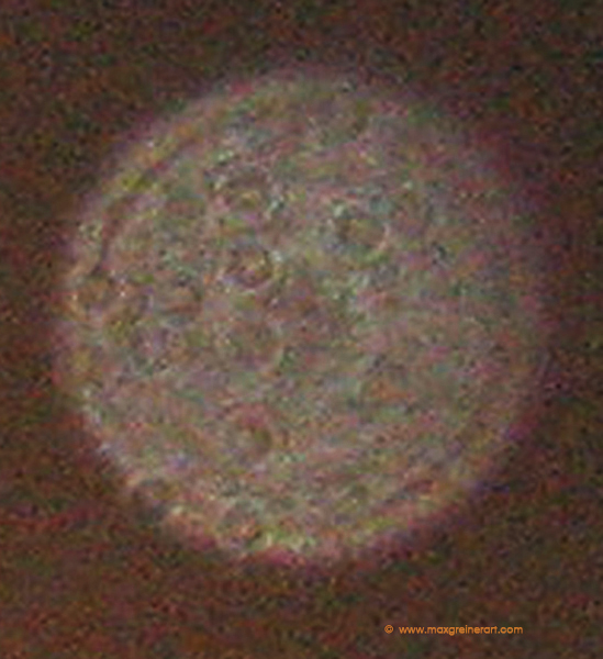 Close-up of a reddish circular light spot (angel orbs) with smaller ring-like patterns inside