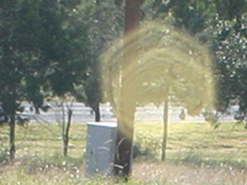 Large yellow circular light spot (angel orbs) over an outdoor scene with trees and fencing