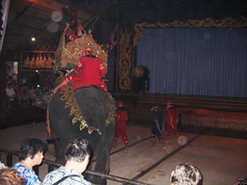 Decorated elephant and rider inside a performance hall