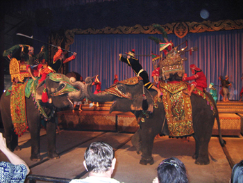 Decorated elephants and riders performing on a stage