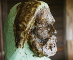 Early modeled head and beard over a green foam armature