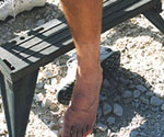 Close-up reference photograph of a bare foot beside the saddle support