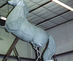 Side view of the large white horse armature mounted on steel supports