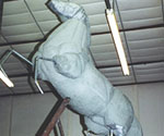 White horse armature with front legs raised, supported by a steel framework