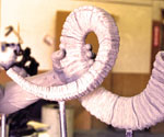 Curled clay scroll with layered ridges viewed from the side