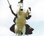 Front view of the rearing white horse beneath the mounted rider