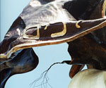 Profile detail of the bronze horse's head and bridle