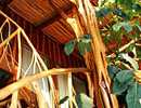 Detail of branching wooden stair rails beneath a wood ceiling