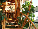 Wooden staircase with branching rails and surrounding indoor plants